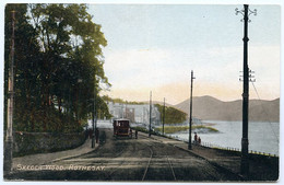 ISLE OF BUTE : ROTHESAY - SKEOCH WOOD (WITH TRAM) - Bute