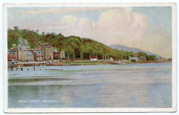 ISLE OF BUTE : ROTHESAY - SKEOCH WOODS (FROM THE BAY) - Bute