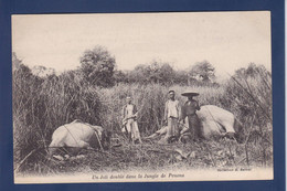 CPA Indochine Chasse à L'éléphant Non Circulé - Vietnam