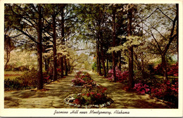 Alabama Montgomery Jasmine Hill Looking Down A Pine Vista To The Egyptian Fountain - Montgomery