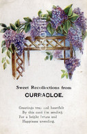 SWEET RECOLLECTIONS FROM CURRACLOE OLD COLOUR POSTCARD IRELAND WEXFORD - Wexford