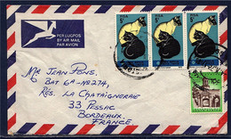 Afrique Du Sud, Enveloppe 4 Timbres, Dont Chats Noir Et Blanc Par Avion Pour Bordeaux 9.10.1972 - Storia Postale