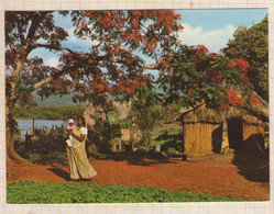 22C40 Mauritius Ile Maurice INDIAN HUT / CASE INDIENNE - Mauritius