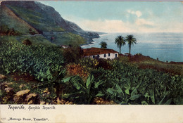 ISLAS CANARIAS , T.P. NO CIRCULADA , RAMBLA TENERIFE , ED. " HERZOGS BAZAR " - Tenerife