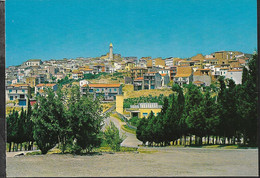 MOLISE - MONTENERO DI BISACCIA (CB) - PANORAMA - NON VIAGGIATA - Andere & Zonder Classificatie