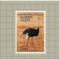 Algeria 1967, Bird, Birds, 1v, (Break From Set Of 4v), MNH** - Straussen- Und Laufvögel