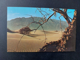 Death Valley, Sand Dunes, Nicht Gelaufen (1982); #H71 - Death Valley