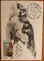 Riccione - Antiquarium Comunale - Molari Di Rinoceronte - Annullo Filatelico XV Borsa Minerali E Fossili A Verona (1986) - Autres