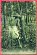Rubber Tapping Singapore No 22_TTB CPA_Vintage_(n°PCard369) - Singapore