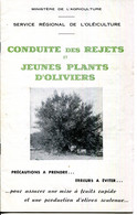 AGRICULTURE.FASCICULE POUR LA CONDUITE DES REJETS & JEUNES PLANS D'OLIVIERS.SERVICE REGIONAL DE L'OLEICULTURE. - Non Classés