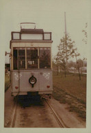 Reproduction - BERLIN - Tramway - Eisenbahnen