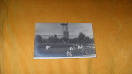 CARTE PHOTO ANCIENNE CIRCULEE DE 1905.../ A IDENTIFIER JARDIN POTAGER ?..ANIMEE TOUR AU FOND CACHET PARIS..+ TIMBRE - Photos