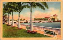 Florida Bradenton Royal Palms Along The Yacht Basin 1948 Curteich - Bradenton