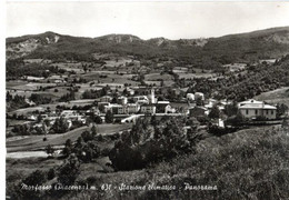 MORFASSO - (PIACENZA) - PANORAMA - ED.LUSARDI - VG FG - C5774 - Piacenza