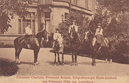 LUXEMBOURG  --  Famille Grandu-Ducale   --  ROI  --  REINE  --  PRINCESSE  --  PRINCE - Famiglia Reale