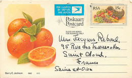 Afrique Du Sud RSA - Entier Postal 1982 - Corne D'abondance - Cartas & Documentos