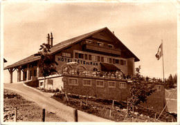 Hotel De Tete-de-Ran - NE Neuchatel