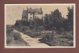 ST. GALLEN - Botanischer Garten - Hadwigschulhaus - 1927 - SG St. Gall