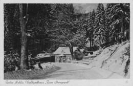 ZELLA-MEHLIS - Waldgasthaus "Zum Sterngrund" - Zella-Mehlis