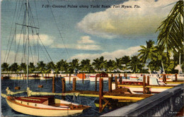 Florida Fort Myers Coconut Palms Along Yacht Basin 1958 Curteich - Fort Myers