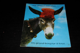 39919-                            UN GRAND BONJOUR A TOUS,  ÂNE, BURRO, DONKEY, ESEL - Humour