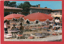 RESTAURANT LE GRAND LARGE La TERRASSE  83 ILE DE BENDOR DANS LES BAIES DU SOLEIL CPM Année 1970 - Restaurants
