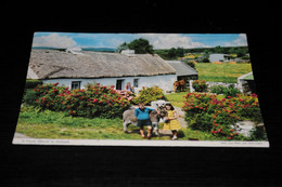 39939-                          IRELAND, A FARM HOUSE, CHILDREN WITH BURRO, DONKEY, ESEL, ÂNE - Donkeys