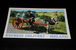 39942-                          IRELAND, EXPRESS DELIVERY, BURRO, DONKEY, ESEL, ÂNE - Donkeys