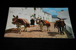 39949-                            COSTA DEL SOL, MIJAS, BURRO, DONKEY, ESEL, ÂNE - Ezels