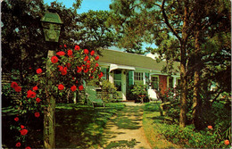 Massachusetts Cape Cod Cottage Midst The Roses - Cape Cod