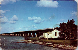 Florida Keys Pigeon Key And Seven Mile Bridge - Key West & The Keys