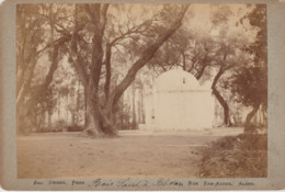 Photo Sur Carton 11cm X16,5 Cm. J. GEISER Alger -7 Rue Bab-Azoun Alger . BOIS SACRE à BLIDA - Old (before 1900)