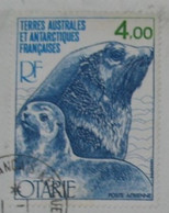 Terres Australes Et Antarctiques Françaises(TAAF) - Otarie à Fourrure De Kerguelen (Arctocephalus Gazella) - Oblitérés