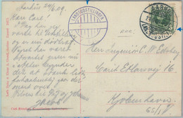 81893 - DENMARK - Postal History -  SPECIAL Postmark  On POSTCARD  1909 - Storia Postale