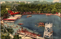 Florida Silver Springs Panoramic View Of "Nature's Un Derwater Fairyland" Curteich - Silver Springs