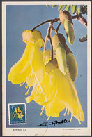 NZ 1961 3d KOWHAI MAXIMUM CARD - Covers & Documents