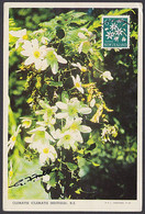 NZ 1964 6d CLEMATIS MAXIMUM CARD - Briefe U. Dokumente