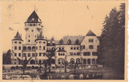492/ Colmar-Berg, Chateau Grand-Ducal 1939 - Colmar – Berg