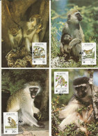 LOT 4 CARTES MAXIMUM  WWF  ST KITTS  LE SINGE VERT / GREEN MONKEY. - Tarjetas – Máxima