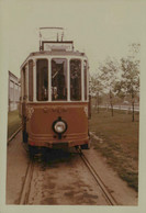 Reproduction - Düsseldorf - Tramway - Trains