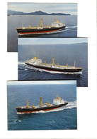 3 Colour Postcards EAST ASIATIC COMPANY Ø.K. M/S AZUMA M/S ARANYA M/S ATREVIDA 1970'ies - Handel