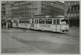 Reproduction - FRANKFURT-am-MAIN (Francfort) - Tramway - Trains