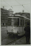 Reproduction - FRANKFURT-am-MAIN (Francfort) - Tramway - Trains