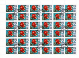 USSR 1978 Mi 4722 TULIP FLOWERS FULL SHEET 36 STAMPS - Fogli Completi