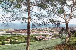 Cartolina - Pesaro - Panorama - 1963 - Pesaro