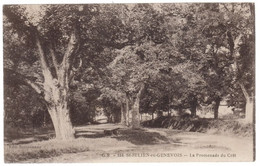 74-1317 - Carte Postale Haute Savoie (74) - SAINT JULIEN EN GENEVOIS - La Promenade Du Crêt - Saint-Julien-en-Genevois