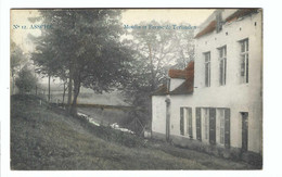 Asse   N° 12. ASSCHE   Moulin Et Ferme De Terlinden   1911     M MARCOVICI - Asse