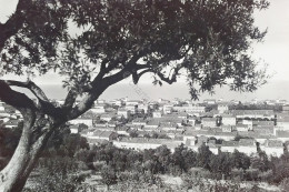 Cartolina - Porto San Giorgio ( Fermo ) - Panorama - 1957 - Ancona