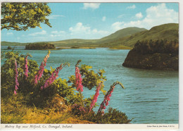 Donegal, Mulroy Bay Near Milford - Donegal
