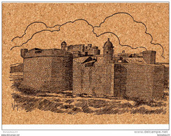 CP LIÈGE (Réf: Q 073) SALSES (66 PYRÉNÉES-ORIENTALES) La Forteresse (XV°) - Salses